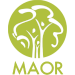 Международная школа метода Маор Ирмы Лурье Logo
